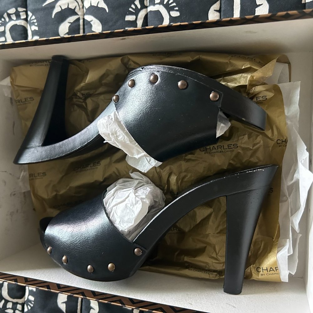 Charles by Charles David Salve